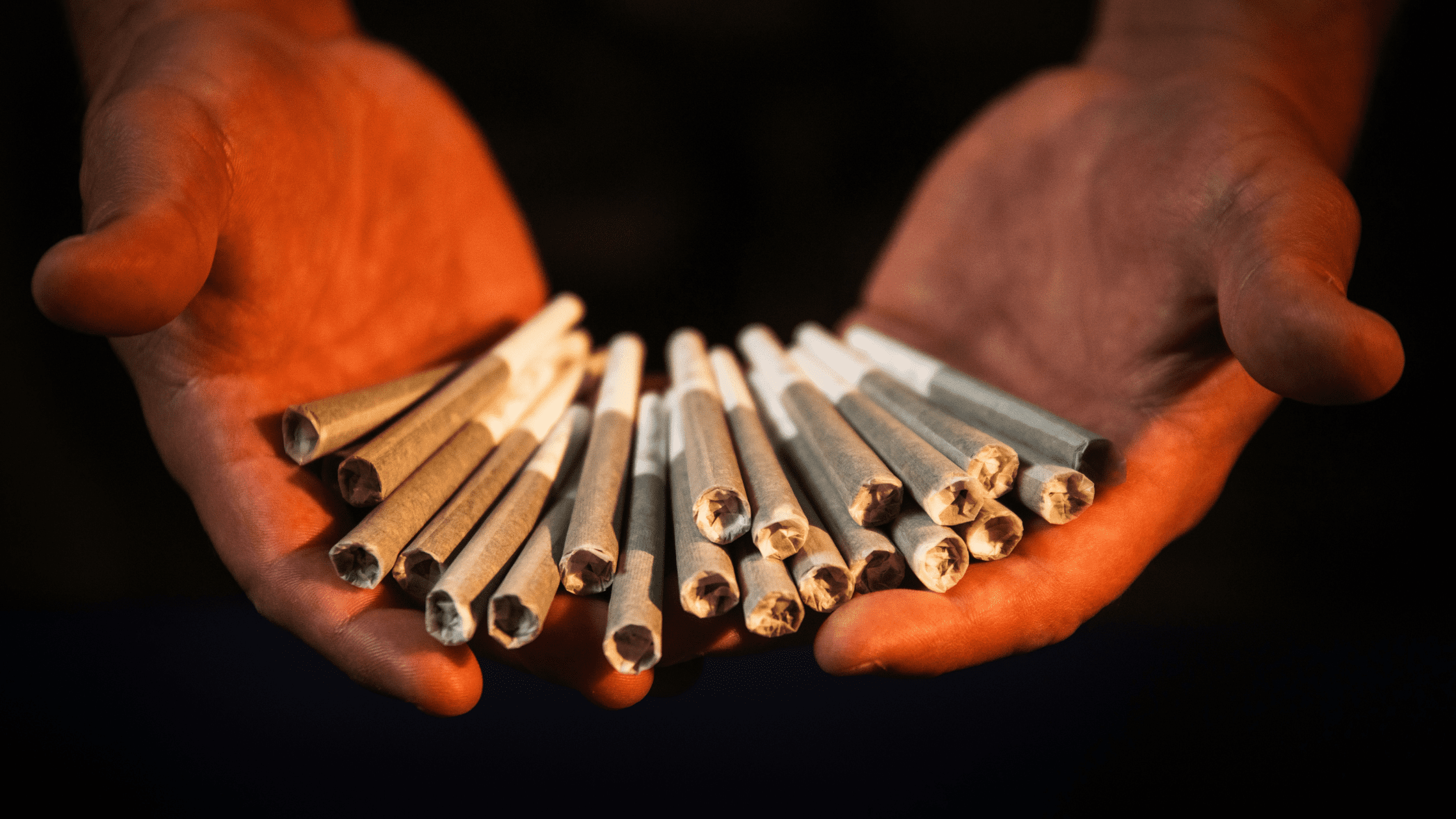 How to Choose a Pre-Roll Machine for Your Cannabis Business