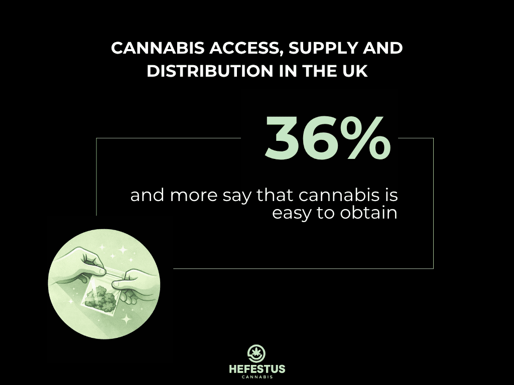 Cannabis Access, Supply and Distribution in the UK - Infographic