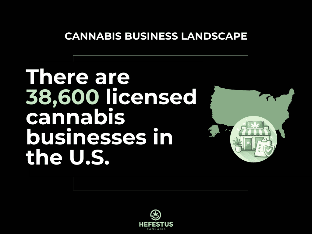 Cannabis Business Statistics - Business Landscape - Infographic