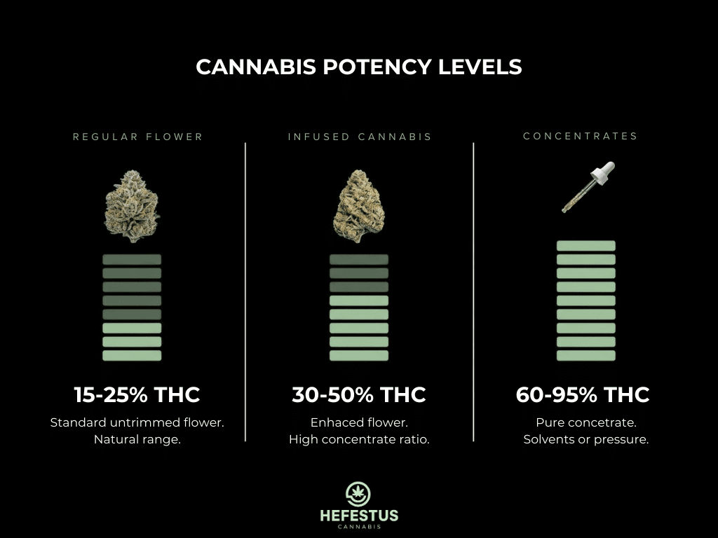 Simple educational infographic comparing THC potency levels between regular cannabis and infused cannabis.