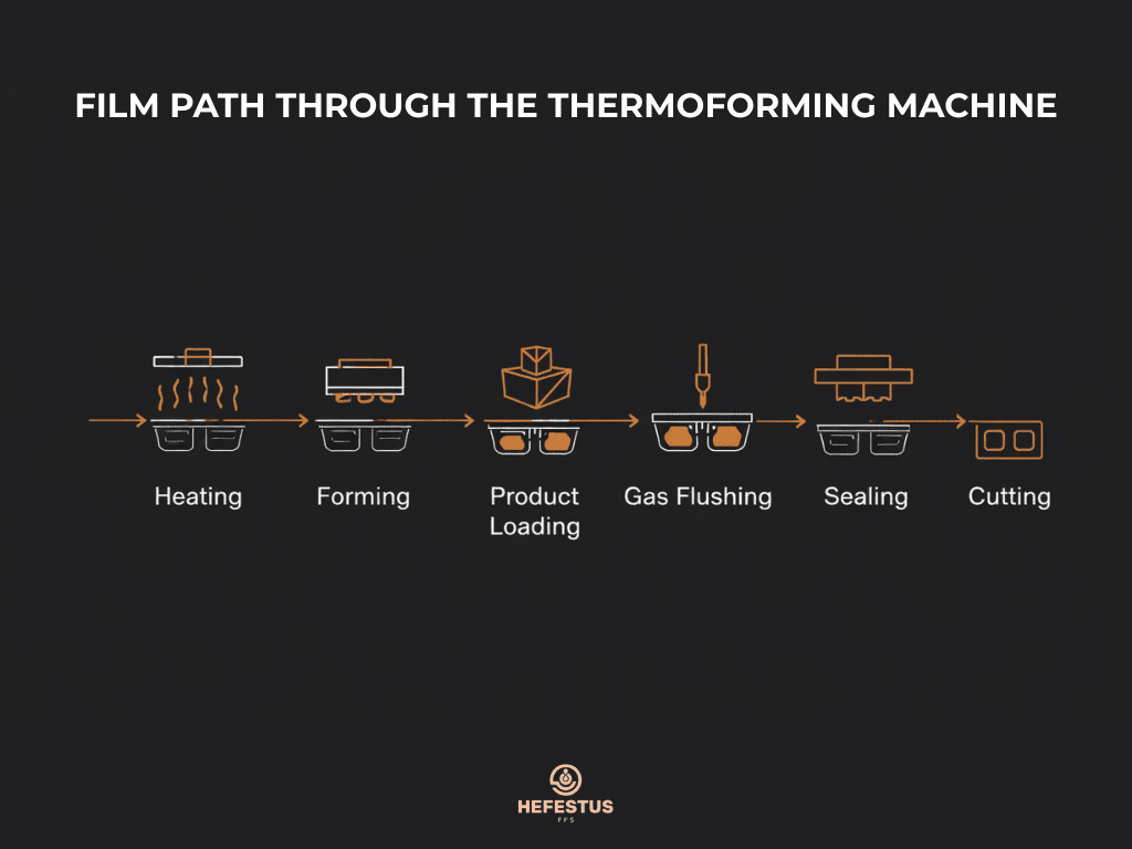Film Path Through the Thermoforming Machine - Infographic