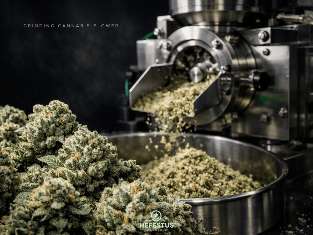 Grinding Cannabis Flower