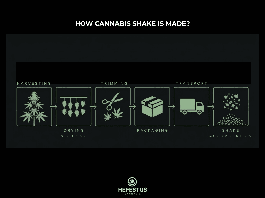 Process infographic showing how cannabis shake is made