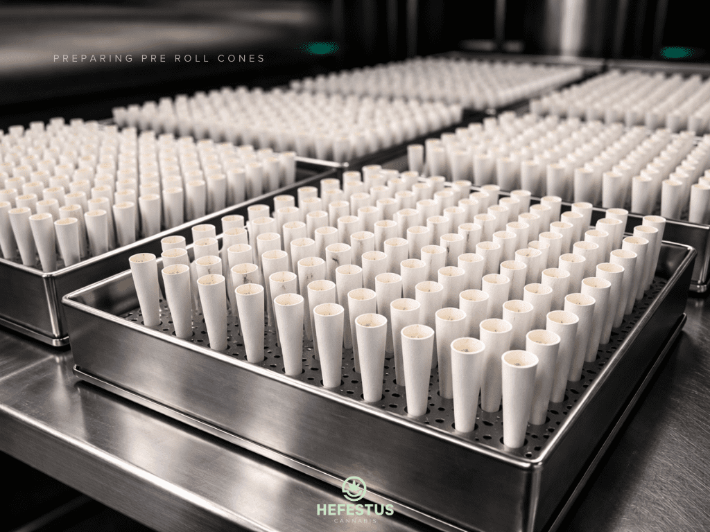 Preparing Pre Roll Cones