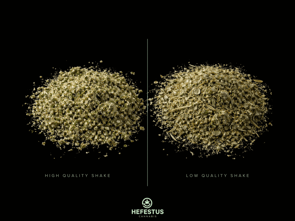 Comparison of high quality cannabis shake vs low quality shake